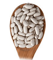 Haricot blanc sec